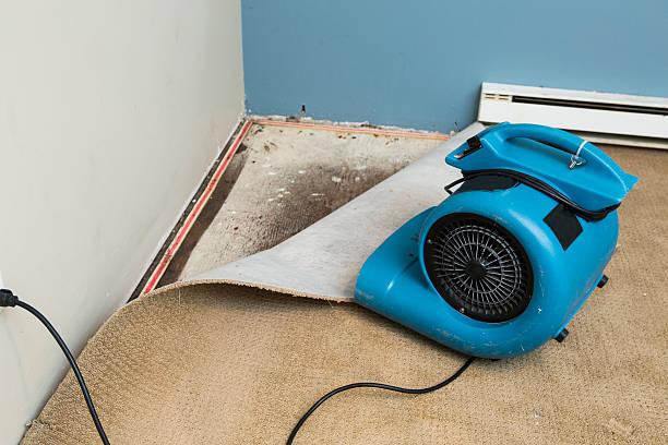 Water damage restoration mold remediation in Marathon, FL